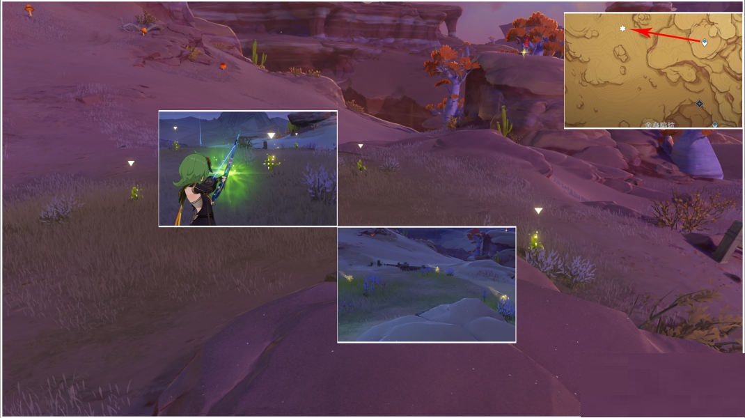 原神种植金蔷薇隐藏任务怎么完成？原神种植金蔷薇隐藏任务完成攻略