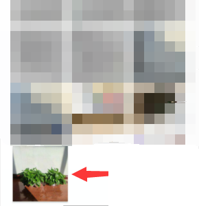 凯叔讲故事怎么更换头像？凯叔讲故事更换头像方法