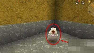 迷你世界鸡怎么繁殖?迷你世界鸡繁殖攻略