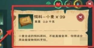 创造与魔法云斑鹦鸟饲料怎么制作?创造与魔法云斑鹦鸟饲料制作攻略