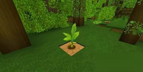 迷你世界香蕉树苗怎么获得?迷你世界香蕉树苗获得攻略