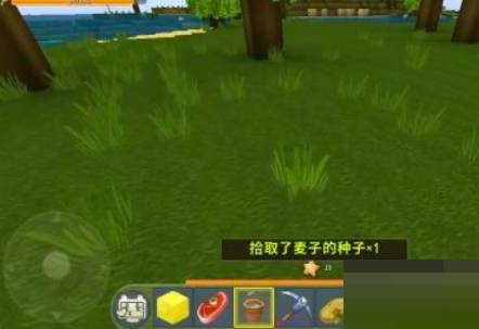 迷你世界小麦种子怎么获得?迷你世界小麦种子获得攻略