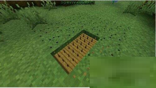 生存战争陷阱怎么制作?生存战争陷阱制作方法