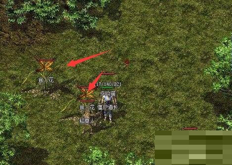 热血传奇食人花哪里最多?热血传奇食人花位置介绍