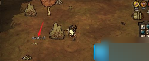 饥荒鸟笼怎么制作？饥荒鸟笼制作方法