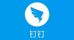钉钉推出钉钉进步体
