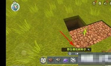 迷你世界棉花树在哪里?迷你世界棉花树位置介绍