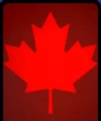 鹅鸭杀对不起不对不起成就怎么获得？鹅鸭杀对不起不对不起成就获得攻略