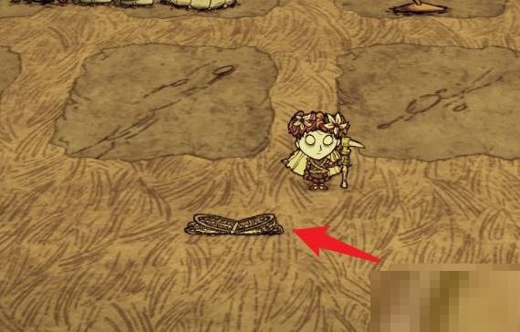 饥荒怎么获得稳定的种子?饥荒稳定的种子获得攻略