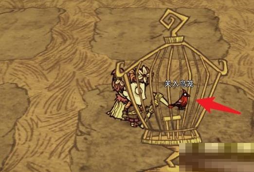 饥荒怎么获得稳定的种子?饥荒稳定的种子获得攻略