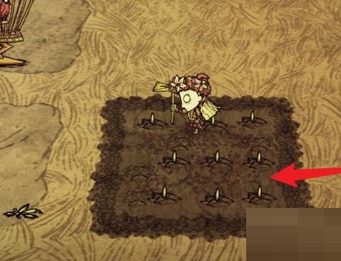 饥荒怎么获得稳定的种子?饥荒稳定的种子获得攻略