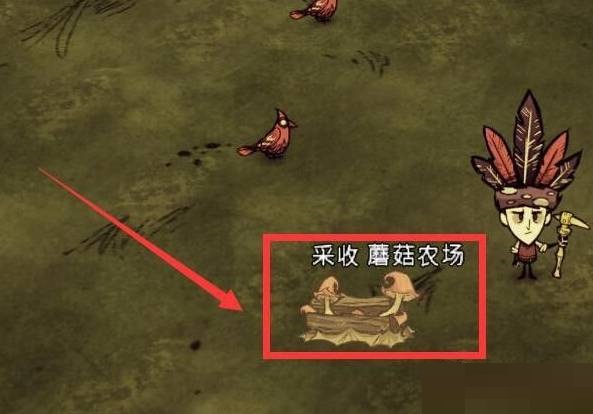 饥荒蘑菇农场怎么使用?饥荒蘑菇农场使用攻略