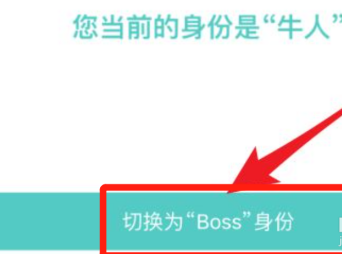 BOSS直聘怎么切换boss身份？BOSS直聘切换boss身份的方法