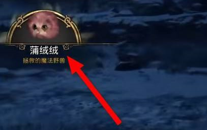 霍格沃茨之遗蒲绒绒在哪？霍格沃茨之遗找到蒲绒绒的详细攻略