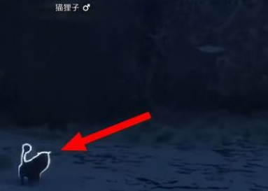 霍格沃茨之遗猫狸子在哪里？霍格沃茨之遗找到猫狸子的操作步骤