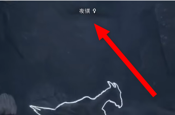 霍格沃茨之遗夜骐在哪？霍格沃茨之遗找到夜骐的具体步骤