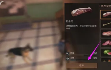 明日之后怎样喂食狗狗？明日之后喂食狗狗的详细攻略