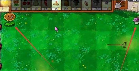 植物大战僵尸花园里的植物在睡觉怎么办？植物大战僵尸花园里的植物在睡觉的解决方法