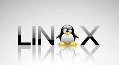 已上架官网 新的QQ Linux 版3.1.1正式版