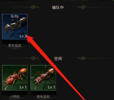 小小蚁国特化蚁怎么升级？小小蚁国特化蚁升级的操作方法