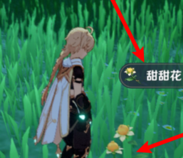 原神砂糖在哪？原神中找到砂糖的攻略