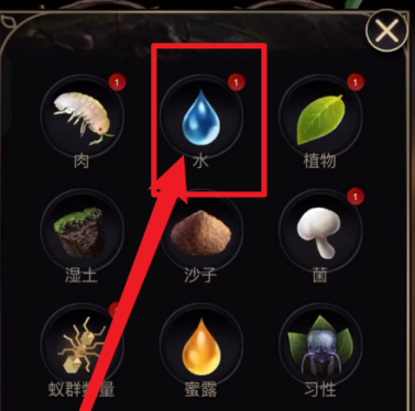 小小蚁国怎么浇水？小小蚁国浇水的玩法攻略