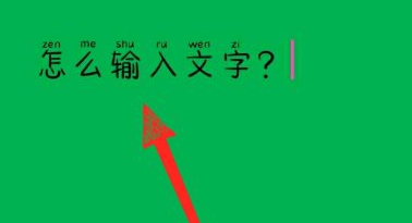 WPS Office官方版怎么输入文字？WPS Office官方版输入文字的方法