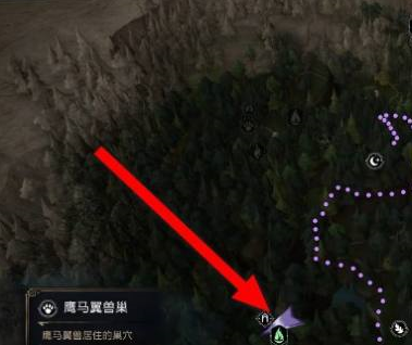 霍格沃茨之遗如何抓动物？霍格沃茨之遗抓动物的玩法攻略