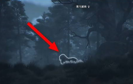 霍格沃茨之遗如何抓动物？霍格沃茨之遗抓动物的玩法攻略
