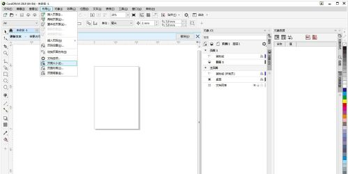 CorelDraw 2019如何页面大小应用到当前页？CorelDraw 2019页面大小应用到当前页的方法