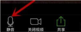 Zoom视频会议如何关闭我的麦克风?Zoom视频会议关闭我的麦克风的方法