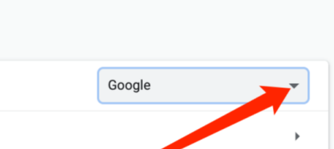 谷歌浏览器怎样选择搜索引擎？谷歌浏览器选择搜索引擎的方法