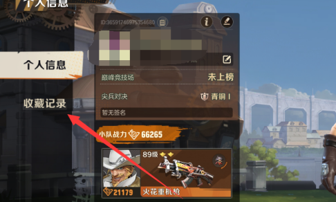 合金弹头收藏记录在哪里？合金弹头找到收藏记录的方法
