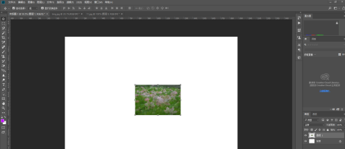 photoshop cc 2018怎样使用涂抹工具？photoshop cc 2018使用涂抹工具的方法