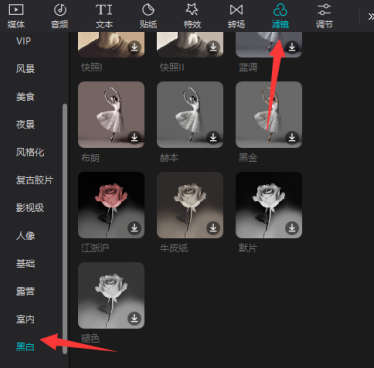 剪映专业版如何设置黑白滤镜？剪映专业版设置黑白滤镜的方法