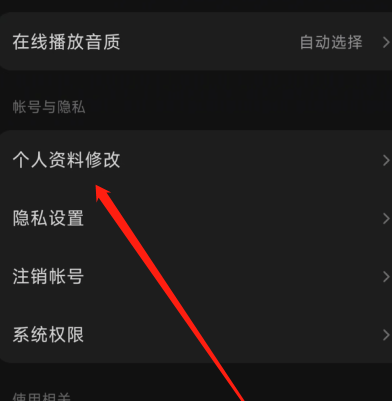 汽水音乐怎样设置简介？汽水音乐设置简介的方法
