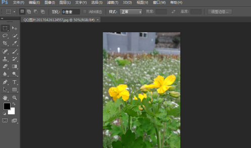 photoshop cs6怎么翻转照片素材？photoshop cs6翻转照片素材的方法