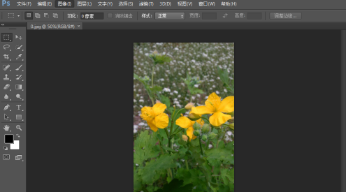 photoshop cs6怎么翻转照片素材？photoshop cs6翻转照片素材的方法