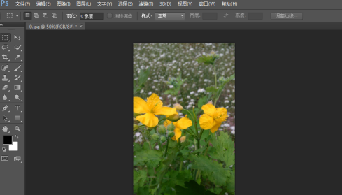 photoshop cs6怎么翻转照片素材？photoshop cs6翻转照片素材的方法