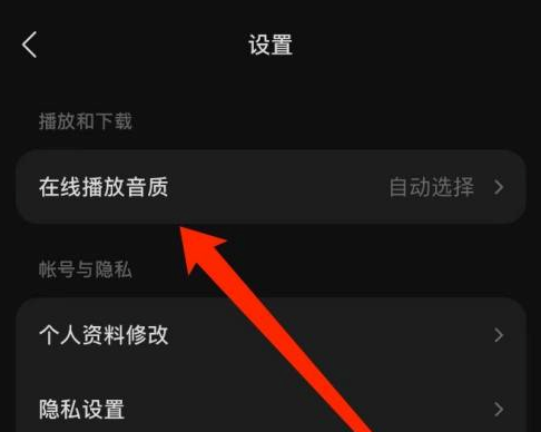 汽水音乐怎样设置在线播放音质？汽水音乐设置在线播放音质的方法