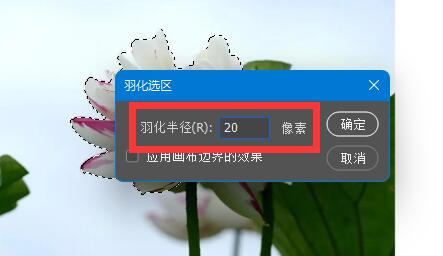 photoshop cs6羽化用不了怎么办?photoshop cs6羽化用不了的解决方法