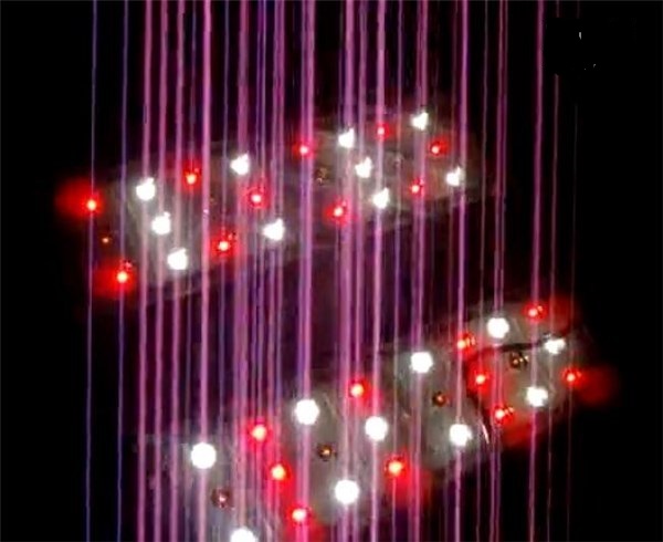 上海交大金贤敏团队制备出世界最大光量子计算芯片