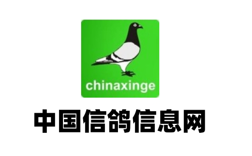 中国信鸽信息网