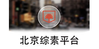 北京综素平台