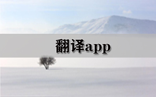 翻译app