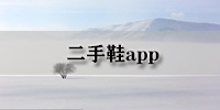 二手鞋app