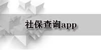 社保查询app