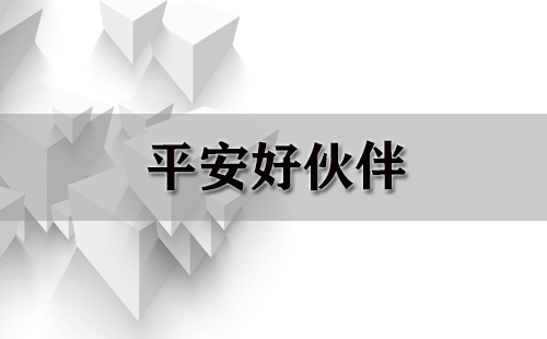 平安好伙伴