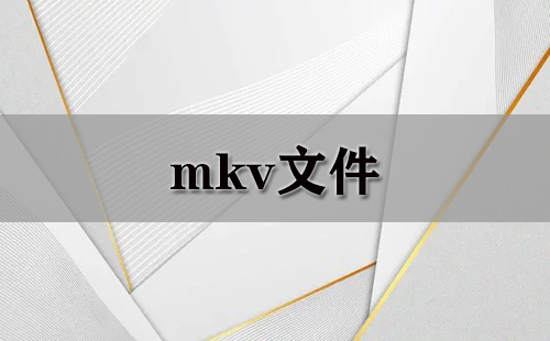 mkv文件